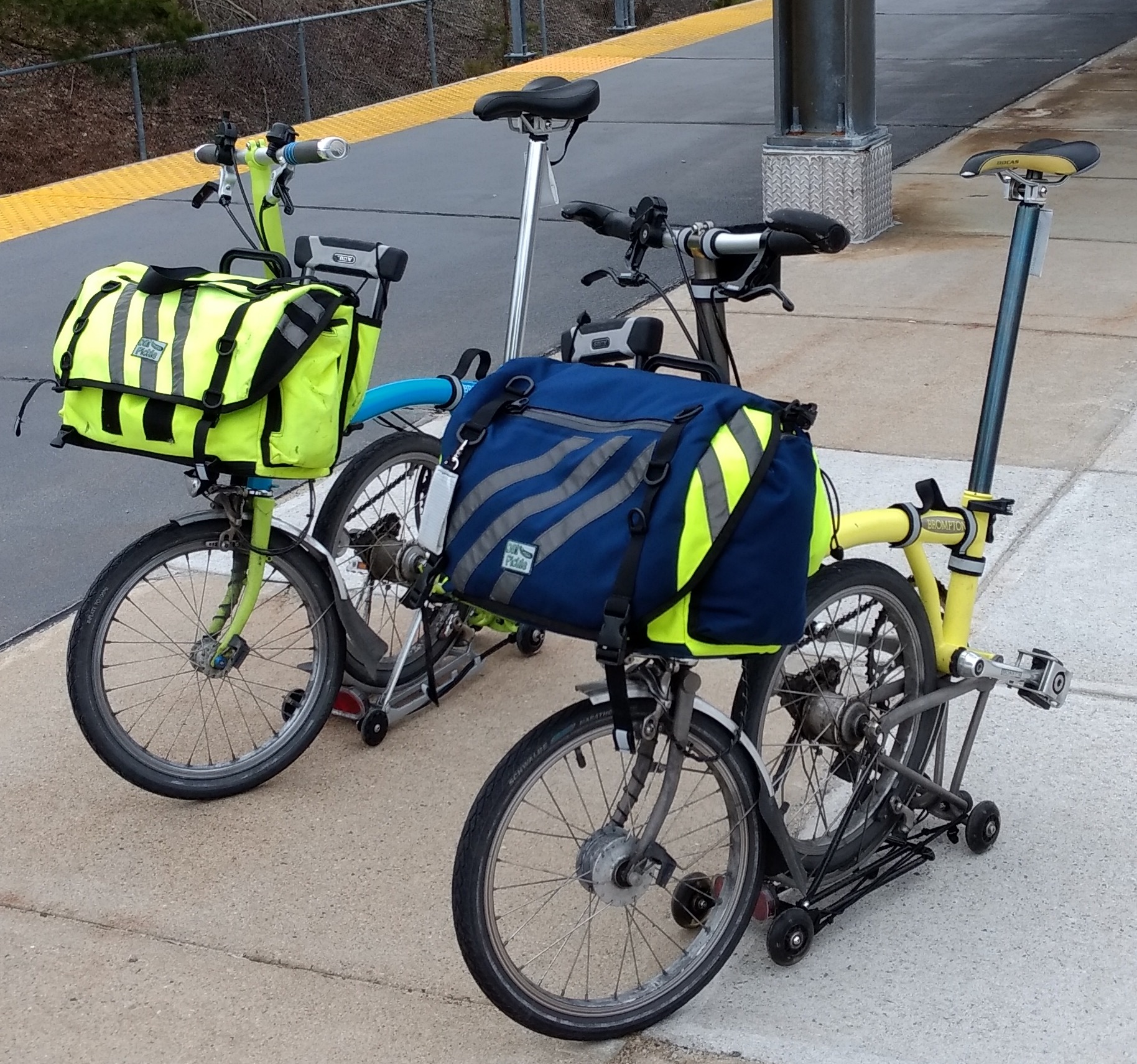 dill pickle bike bags