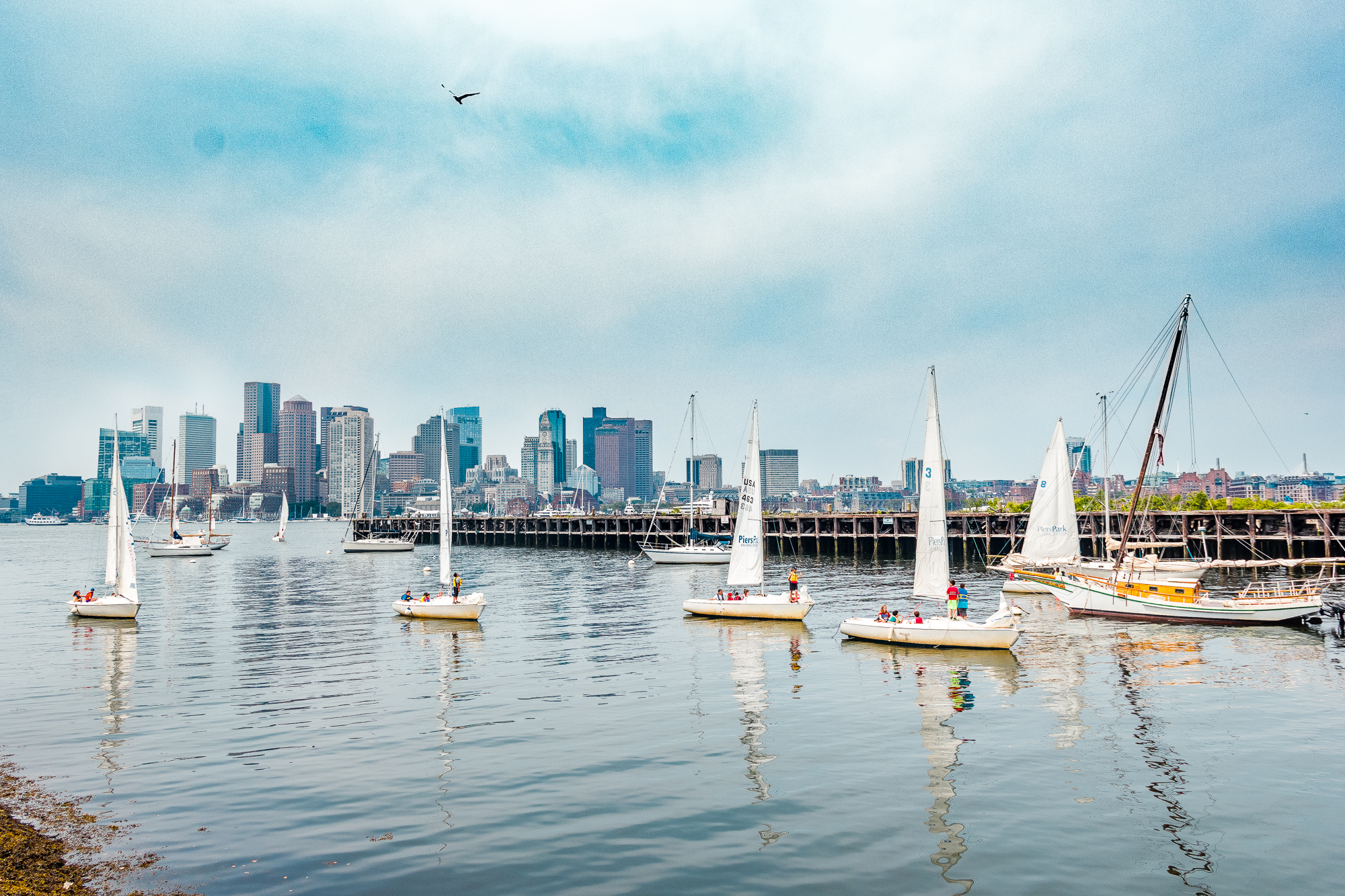 Meet Alex DeFronzo of Piers Park Sailing Center Boston Voyager