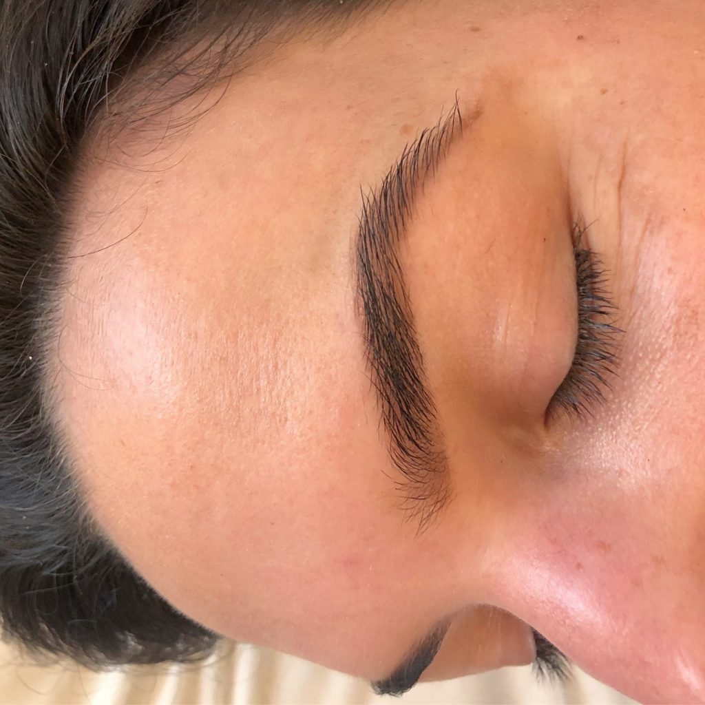 Meet Gianna Moran of Botanical Brow Bar Boston Voyager Magazine