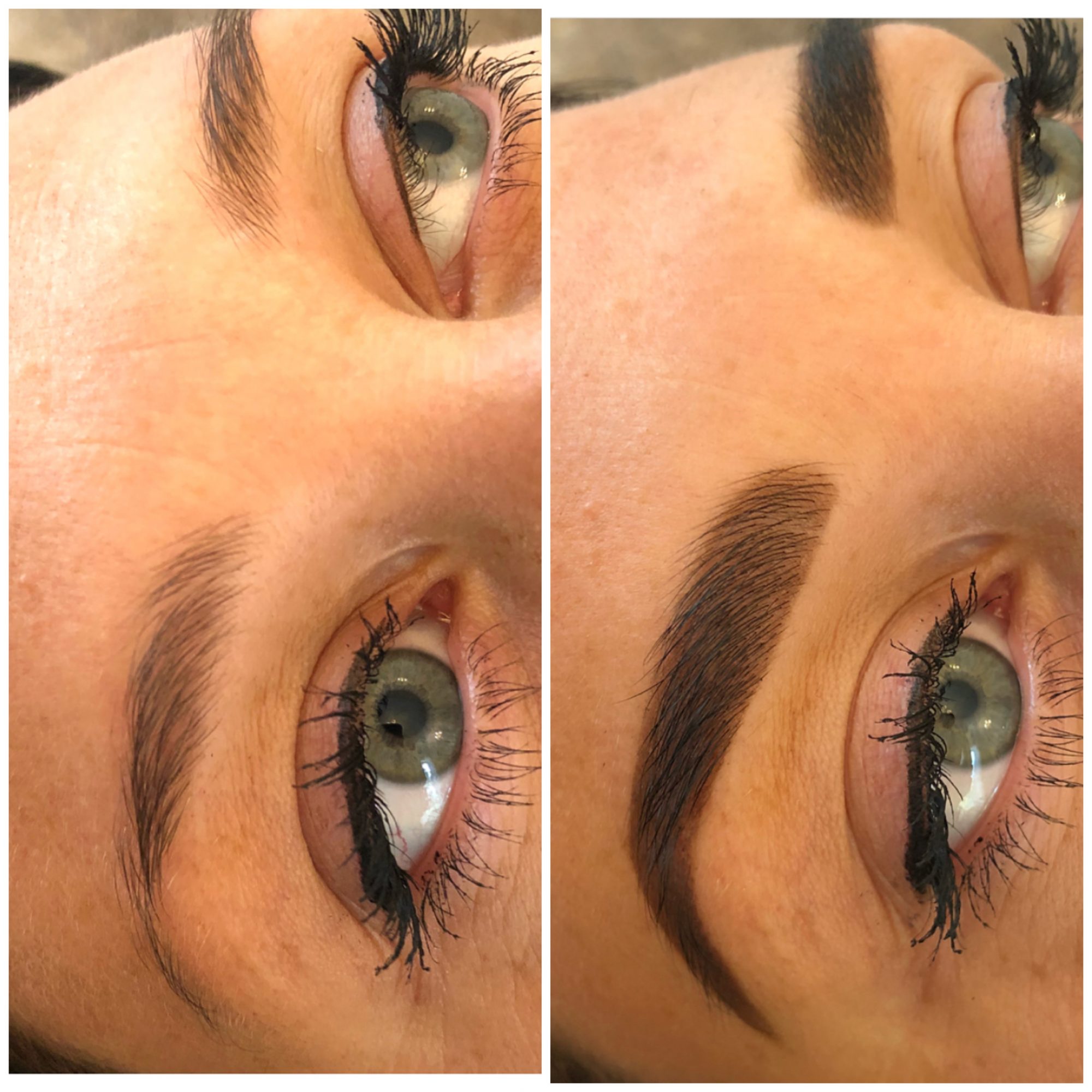 Meet Gianna Moran of Botanical Brow Bar Boston Voyager Magazine