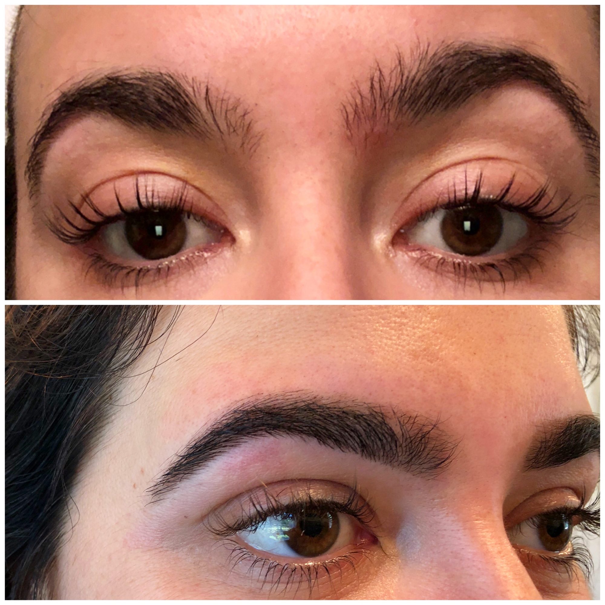 Meet Gianna Moran of Botanical Brow Bar Boston Voyager Magazine