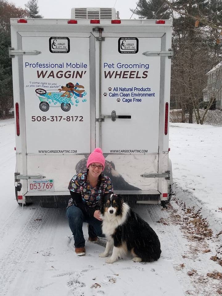waggin wheels pet grooming