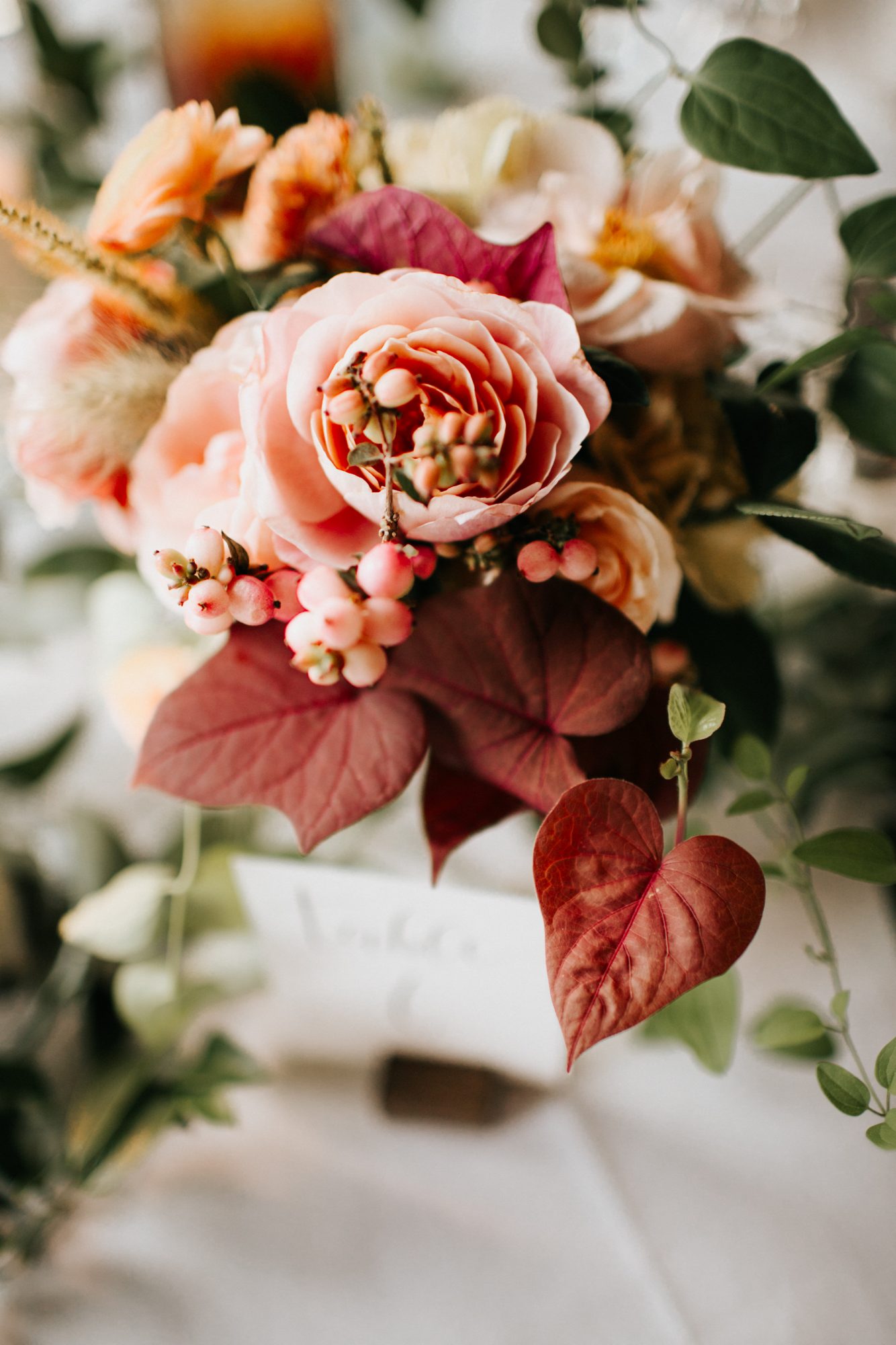 Meet Brie Pflederer of Splendor of Eden in Pilsen - Voyage Chicago ...