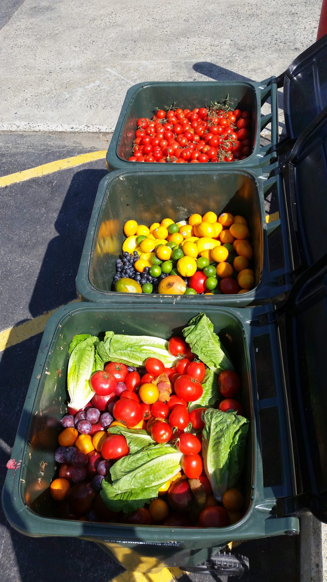 Meet Conor Miller of Black Earth Compost – Boston Voyager Magazine ...