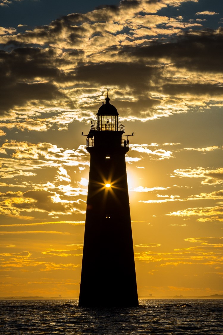 Meet Trailblazer Ann-Marie Rollo - Boston Voyager Magazine Boston City ...